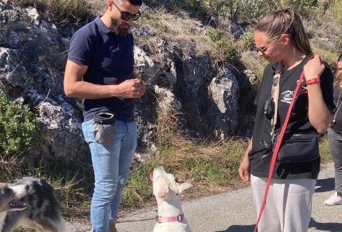Formations éducateur et comportementaliste canin dans le Var (83)
