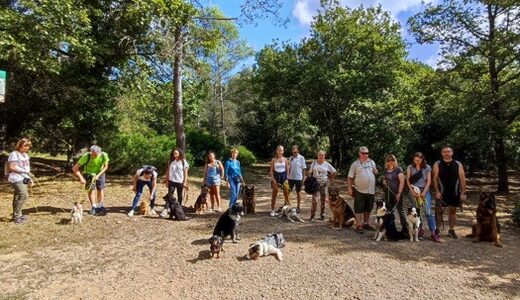 Deux&#x20;nouvelles&#x20;personnes&#x20;en&#x20;formation&#x20;&#x00C9;duc&#x20;Pro&#x20;ce&#x20;mois-ci&#x20;chez&#x20;Dog&#x20;&amp;amp&#x3B;&#x20;Trainer&#x20;&#x1F43E;