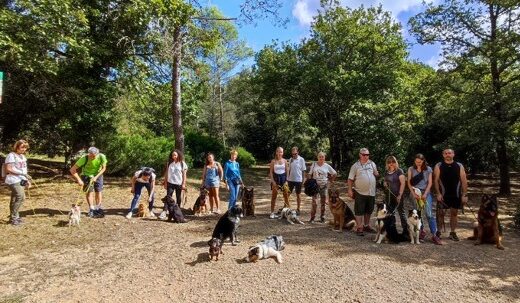 Deux nouvelles personnes en formation Éduc Pro ce mois-ci chez Dog &amp; Trainer 🐾